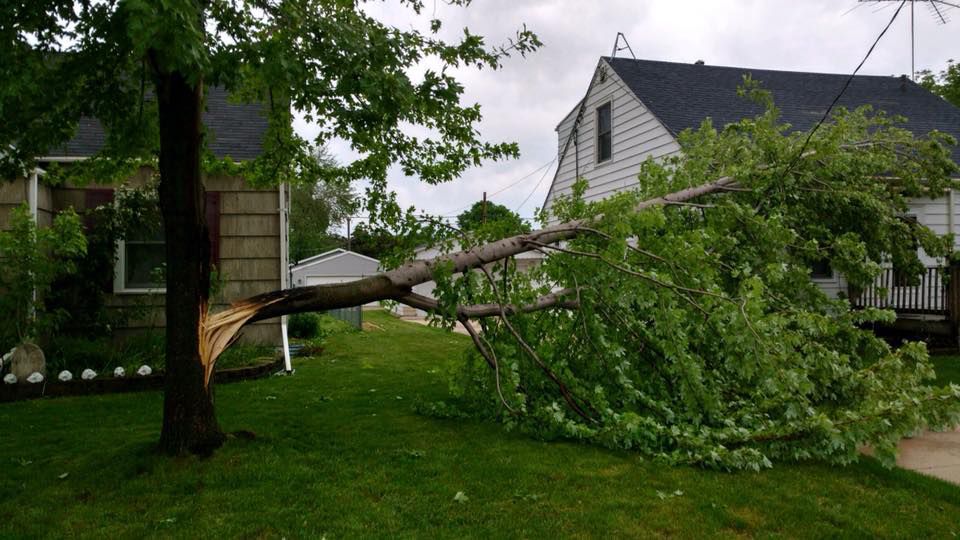 Split tree